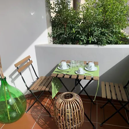 Green-house *